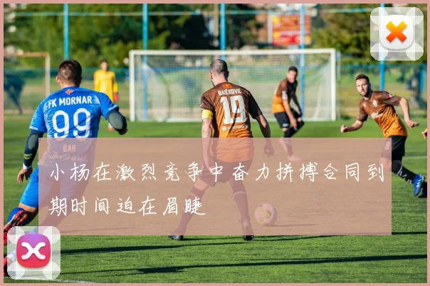 小杨在激烈竞争中奋力拼搏合同到期时间迫在眉睫